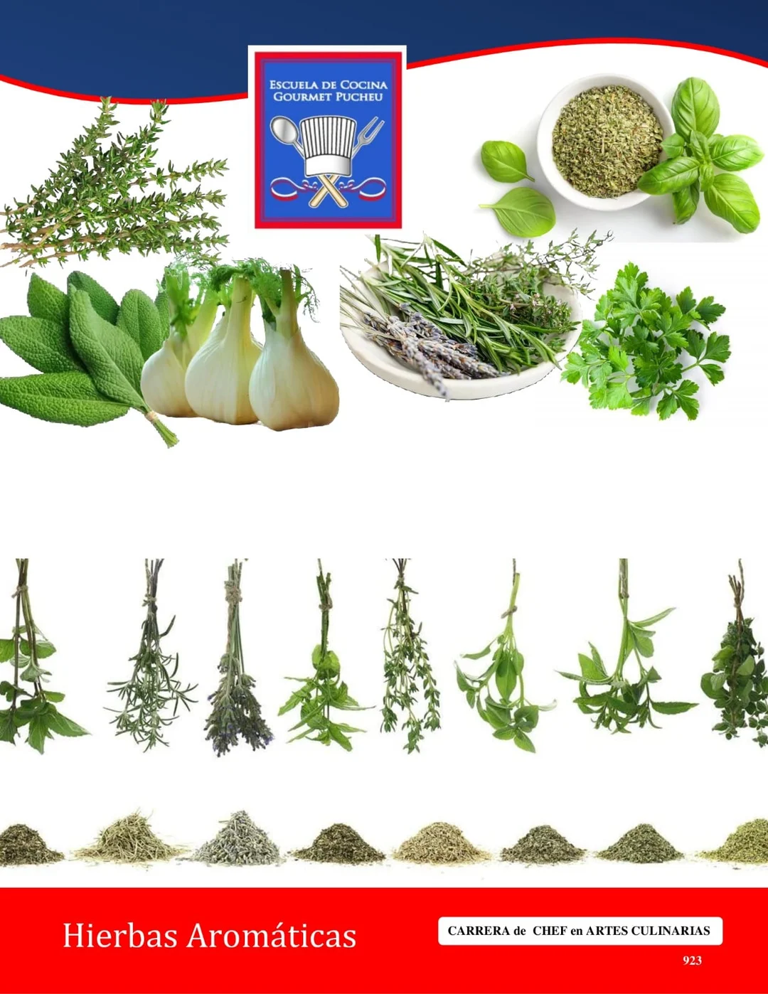Manual — Hierbas Aromáticas
