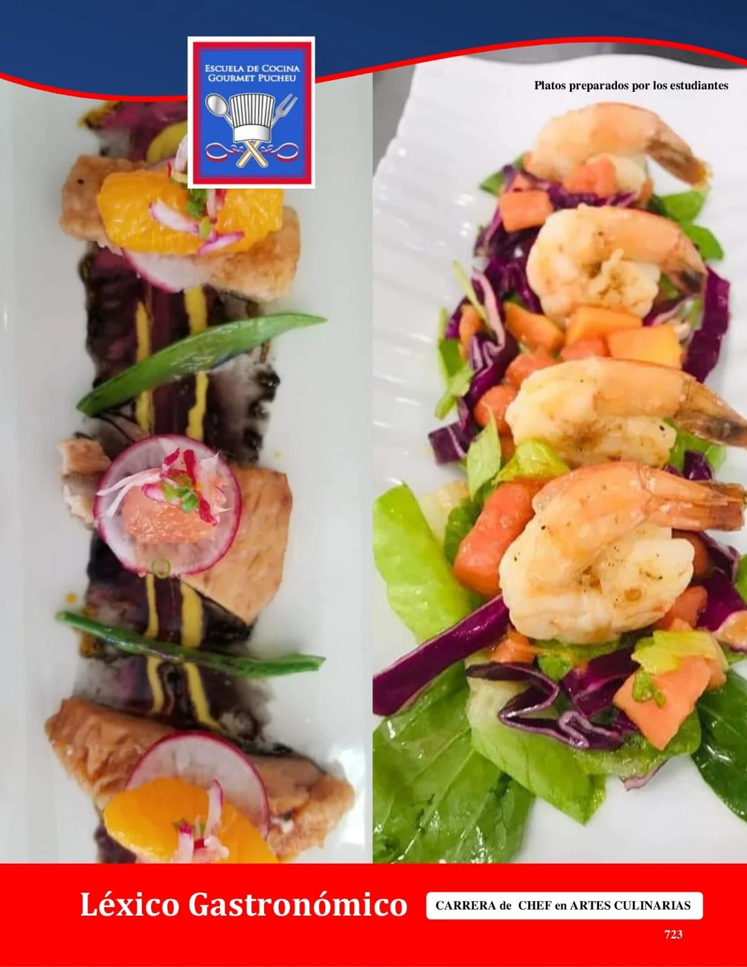 Manual — Léxico Gastronómico