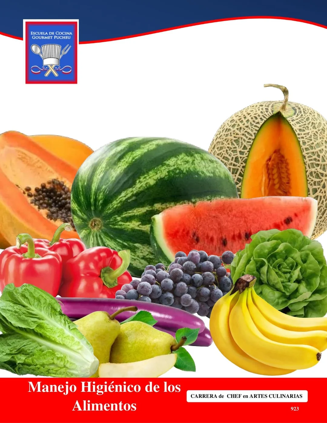 Manual — Manejo Higiénico de los Alimentos