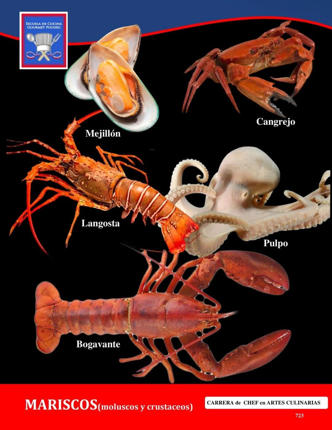 Manual — Mariscos, moluscos y crustáceos