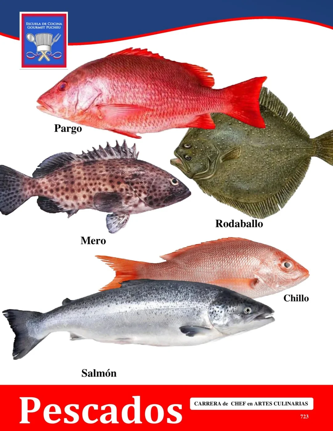 Manual — Pescados