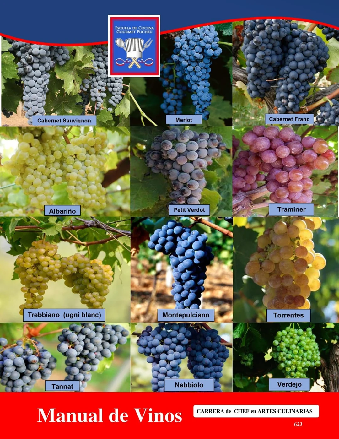 Manual de Vinos
