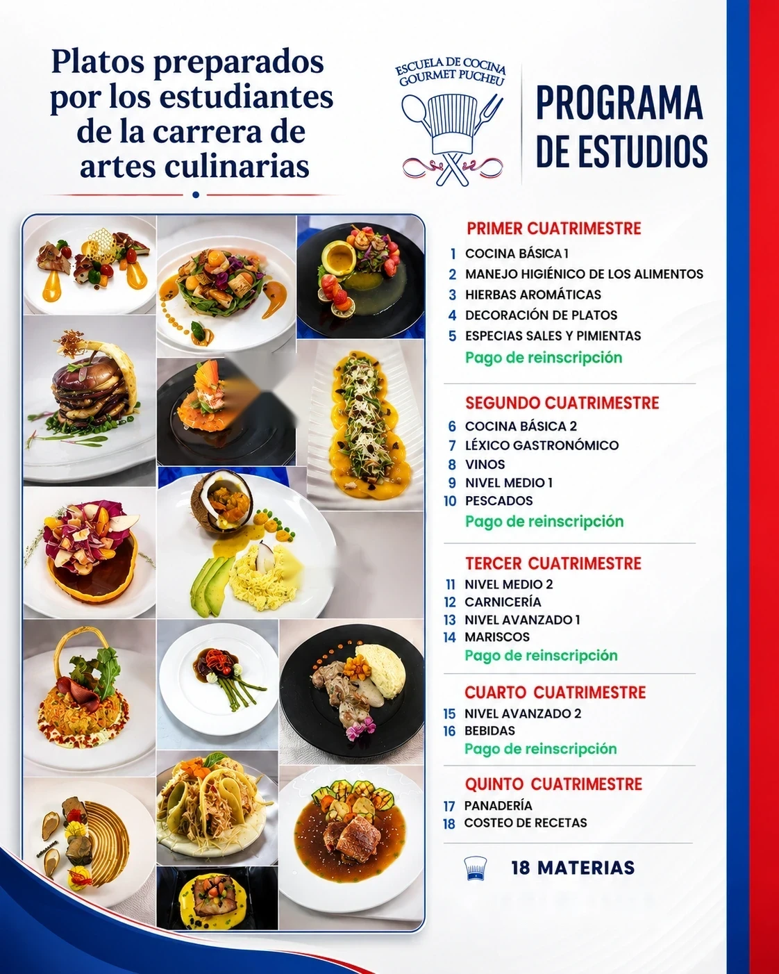 Programa de estudios — Artes Culinarias