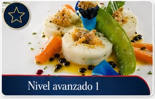 Manual — Nivel avanzado 1