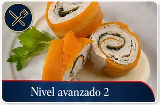 Manual — Nivel avanzado 2