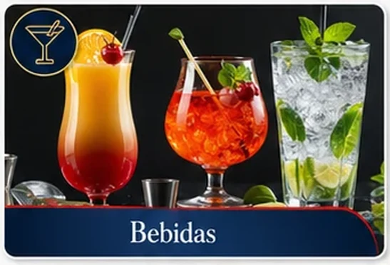 Manual — Bebidas
