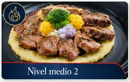Manual — Nivel medio 2