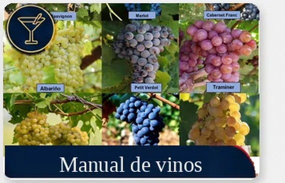 Manual de vinos