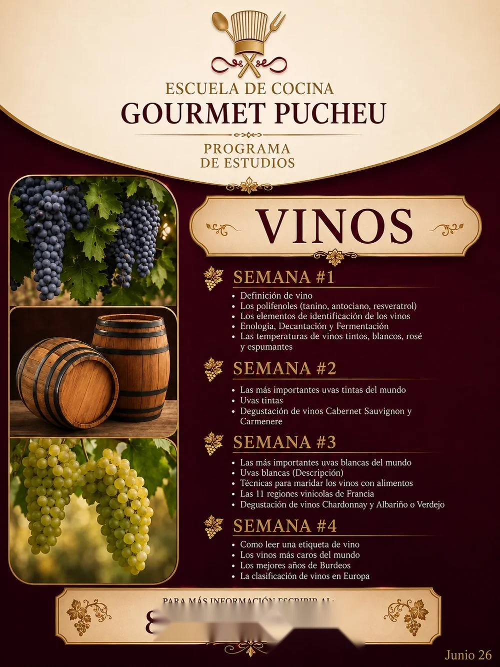 Vinos — Programa de estudios